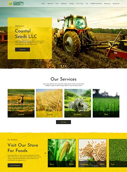 Website Design Office