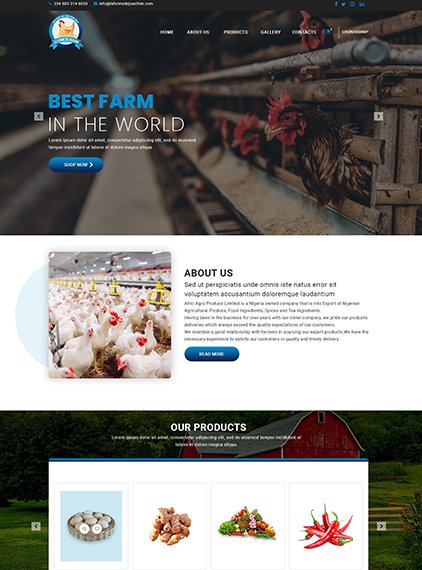 Website Design Office