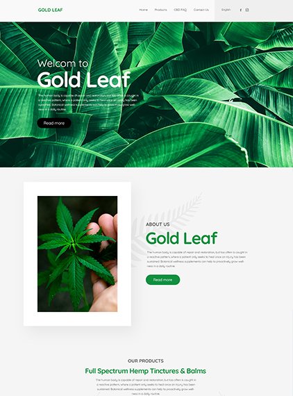 Website Design Office